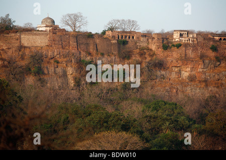 Impressionen aus Dem Ranthambore Nationalpark in Indien, Eindrücke von den Ranthambore Nationalpark in Indien Stockfoto