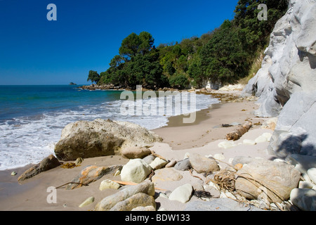 Stingray Bay, romantisch und abgelegenen Bucht auf dem Weg nach Cathedral Cove, Coromandel Peninsula, Nordinsel, Neuseeland Stockfoto