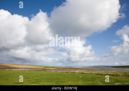 Landeschaft Auf der Insel Mainland der Orkney-Inseln, Küstenlandschaft von Mainland, Orkney Inseln, Schottland, schottland Stockfoto