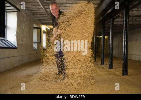 Arbeiter in Whisky Brennerei, Orkney Inseln, Schottland Stockfoto