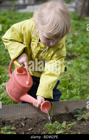 kleines Mädchen Bewässerung Erdbeeren im Garten Stockfoto