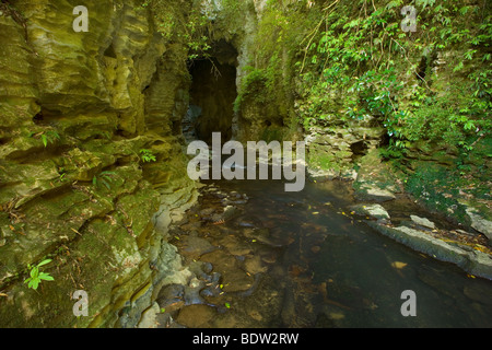 Felsbogen in Waitomo, Neuseeland Stockfoto