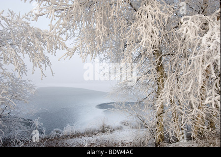 Winter im Moor, Norddeutschland Stockfoto