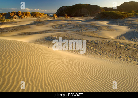 Weiße Sanddünen Wharariki Beach im ersten Morgenlicht. Wharariki Beach, Neuseeland Stockfoto