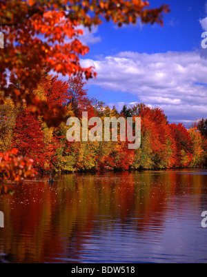 Herz-See im Herbst, Adirondack Berge Stockfoto
