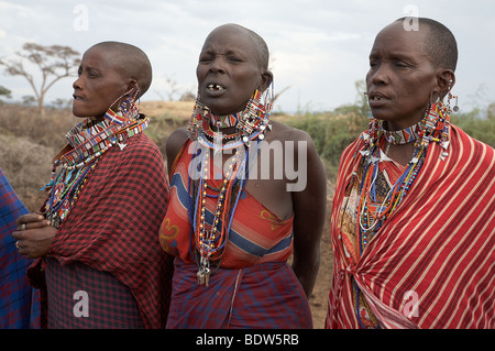 Kenia-Masai Frauen immer bereit, bei den Massai-Dorf in den Amboseli National Park tanzen. Foto: Sean Sprague 2007 Stockfoto
