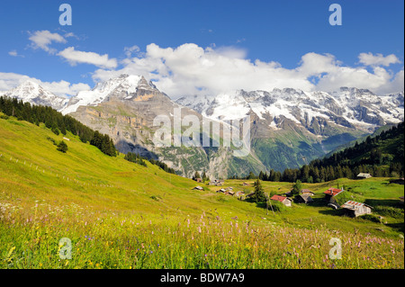 Blick auf einer Bergwiese mit Hütten, die Berner Alpen, Kanton Bern, Schweiz, Europa Stockfoto