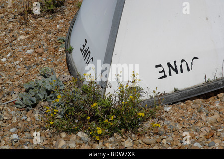 Alten umgestürzten vernachlässigte Boot Stockfoto