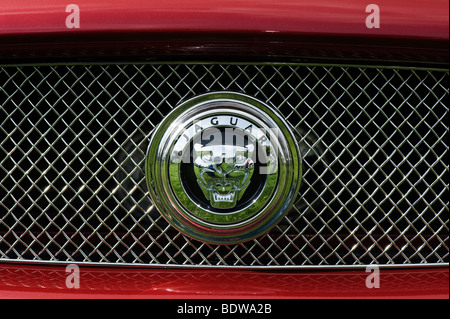 Jaguar XK Kühlergrill Emblem, Klassische britische Sportwagen Stockfoto