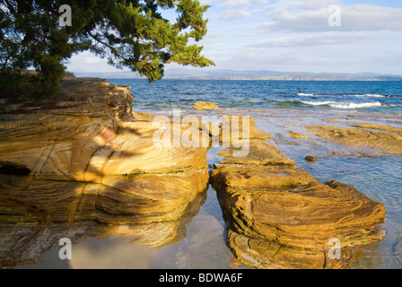 Maria Island National Park, Painted Klippen, Tasmanien, Australien Stockfoto