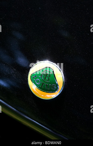 Lotus Sportwagen Abzeichen auf eine schwarze Haube Stockfoto