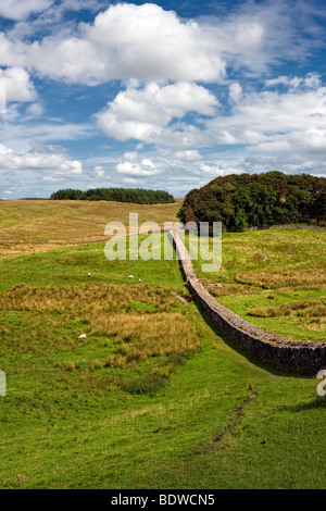 Der Hadrianswall nahe Housesteads römischen Fort, Northumbria UK Stockfoto