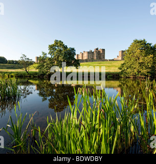 Alnwick Castle von den Ufern des Flusses Aln an einem sonnigen Sommermorgen. Stockfoto