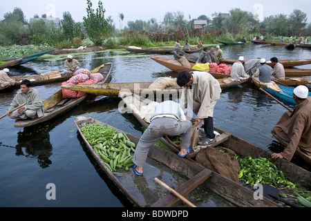 Schwimmenden Markt. Dal-See. Srinagar. Kaschmir. Indien Stockfoto