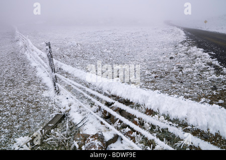 Frost, nach Wochen der Nebel, dicken hängt von einem Zaun in der Owyhee Ranchland. Stockfoto