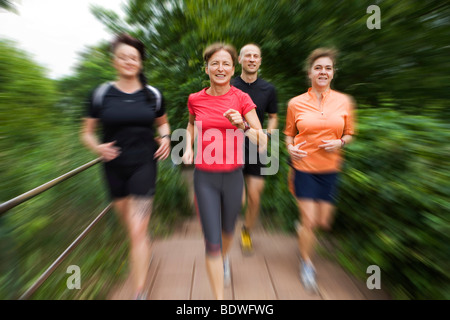 Mann und drei Frauen, die Joggen im Wald Stockfoto