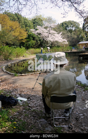 Japaner, die Malerei eines blühenden Kirschbäume Baumes in den Botanischen Garten in Kyoto, ein beliebtes Hobby unter japanischen Senioren, Kyoto, Jap Stockfoto