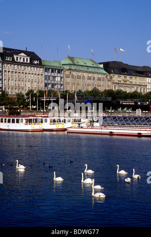 Schwäne in der hinteren Pfeiler für Linie Boote am Ufer der Jungfernstieg, Alsterhaus und Dresdner Bank Gebäude, Binnenalster Stockfoto