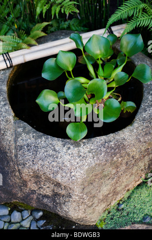 Kenninji Tempel, Kyoto, Japan Stockfoto