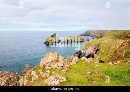 Blick über Kynance Cove am Lizard Point, Cornwall, England, Vereinigtes Königreich, Europa Stockfoto