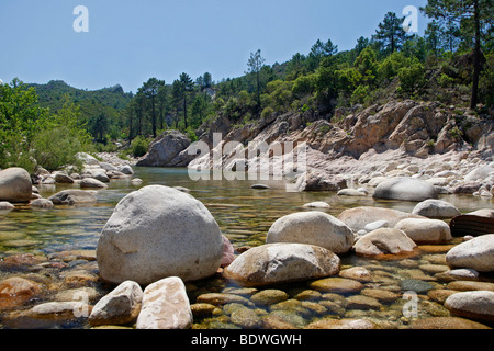 Solenzara-Fluss, Gebirgsgruppe Bavella, Korsika, Frankreich, Europa Stockfoto