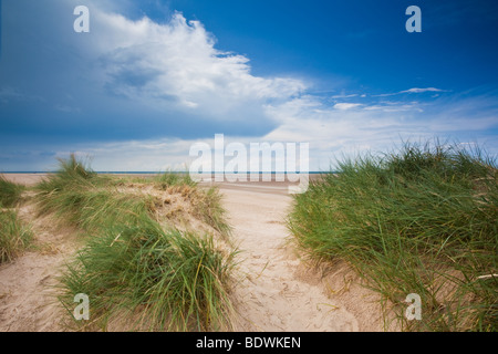 Sanddünen von Holkham Beach in Norfolk, England Stockfoto