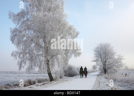 Straße durch Blockland Landschaftsschutzgebiet im Winter mit zwei Reitern und hoarfrosted Bäume, Bremen, Deutschland, Europa Stockfoto