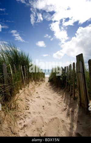 Sandy-Pfad führt durch die Dünen zum Strand von Penrhyn Llyn, Wales Stockfoto