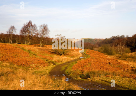 Blick auf einen Pfad quer durch Ramsley Moor im Peak District in Derbyshire Stockfoto