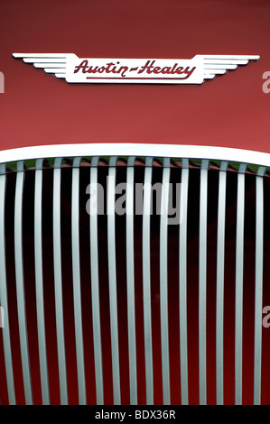 Austin Healey, grill, britische Sportwagen winged Badge und Heizkörper Stockfoto