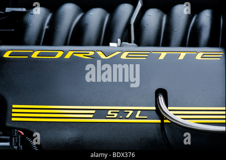 Gelbe Chevrolet Corvette name auf Schwarz 5,7 Liter Motor gehäuse, Klassische amerikanische Sportwagen Stockfoto