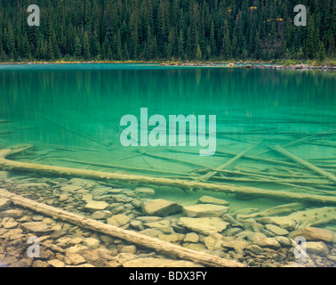 Smaragdgrünen Wasser des Lake O'Hara, Yoho-Nationalpark in British Columbia Kanada Stockfoto