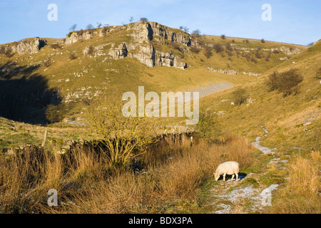 Ein Kalkstein Felsen oberhalb Ricklow Dale an der Spitze der Lathkill Dale in Derbyshire, Stockfoto