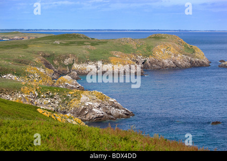 großen Saltee Insel; Wexford Küste jenseits; Irland Stockfoto