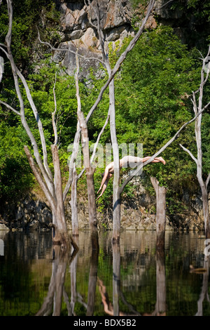 Ein Mann, Tauchen in der Sioule Fluss von einem toten Baum (Puy de Dôme - Frankreich). Homme Plongeant Dans Une Rivière Depuis un Arbre. Stockfoto