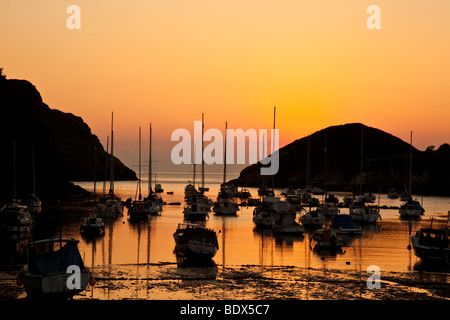 Einen schönen Juni Sommerabend mit Blick auf die Boote am Watermouth Cove North Devon Stockfoto