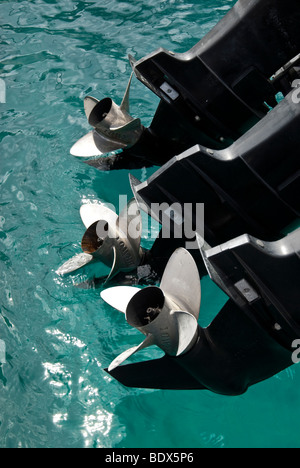 Die Propeller von einem Motorboot Außenbordmotor statt aus dem Wasser Stockfoto