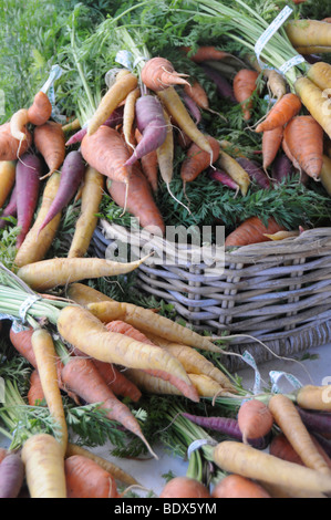 Frisch gepflückt Karotten auf dem Display zu verkaufen Stockfoto