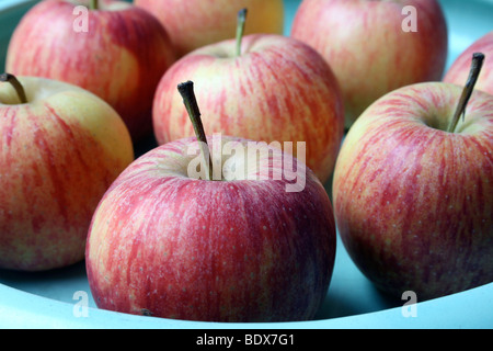 Äpfel in einer grünen Schale Stockfoto