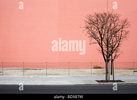 Leere Straße, toter Baum vor eine große einfarbige Wand, Alexa Shopping Center, Berlin, Deutschland, Europa Stockfoto