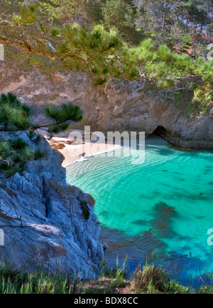 China Strand mit Kalifornien Seehunde am Strand. Point Lobos State Reserve, Kalifornien Stockfoto