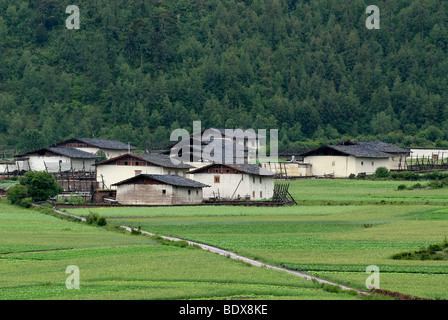 Tibetische Ostdorf, beherbergt traditioneller Bauernhof in Getreidefeldern in Osttibet, Shangrila, Tibet, Yunnan, China, Asien Stockfoto