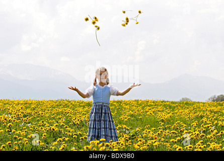 Kind werfen Löwenzahn Blumen in der Luft, Eurasburg, Upper Bavaria, Bayern, Deutschland, Europa Stockfoto