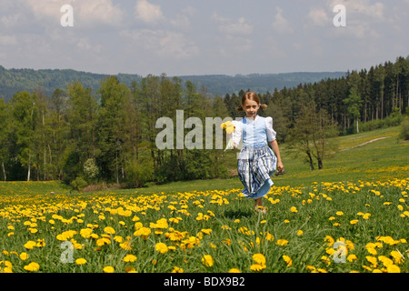 Kind läuft durch ein Löwenzahn Wiese, Eurasburg, Upper Bavaria, Bayern, Deutschland, Europa Stockfoto