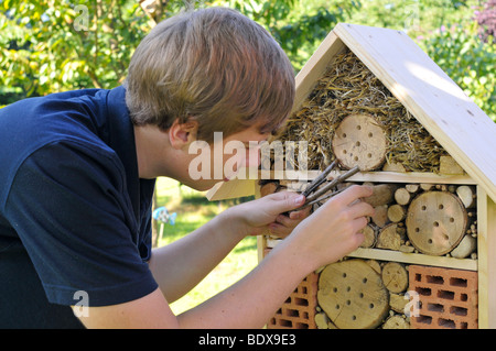 Teenager bauen ein Insektenhotel Stockfoto