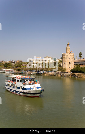 Torre de Oro, goldener Turm, Rio den Fluss, Sevilla, Andalusien, Spanien, Europa Stockfoto