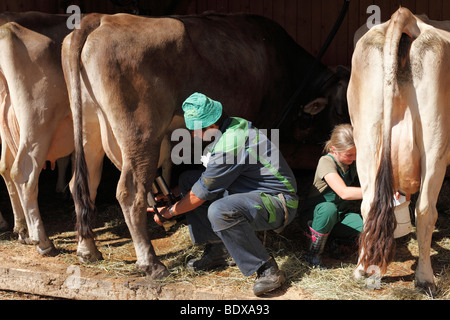 Landwirt und Mädchen, die Kühe melken, Alpe Vermunt, Grossvermunt, Montafon, Vorarlberg, Österreich, Europa Stockfoto