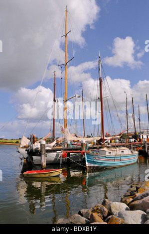 Museumshafen Museum Hafen in Kappeln, Schlei-Fluss, Schleswig-Holstein, Norden, Deutschland, Deutschland, Europa Stockfoto