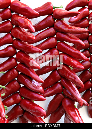 Paprika in Espelette, zahlt Basken, Frankreich. Stockfoto