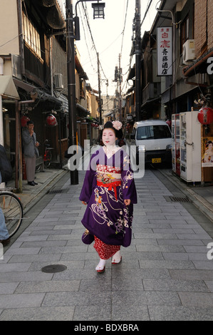 Maiko, Geisha-Lehrling in einer traditionellen Straße in Gion Bezirk, Kyoto, Japan, Asien Stockfoto